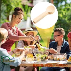 Biologisch abbaubarer Eisportionierer aus Birkenholz, umweltfreundlich für Restaurants und Zuhause, Fabrik in China mit individuellem Logo