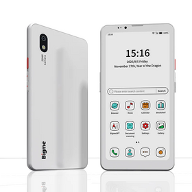 Venta al por mayor Bigme Hibreak Pro Color 6 ''E tinta Eye-Friendly Smartphone con Android 14 y conexión 4G y 5G