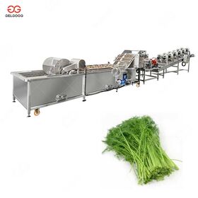 Leafy Vegetable Washing, Grading, and Packaging Production Line