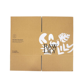 Personalizado UV impreso Kraft caja corrugada claro logotipo impresión reciclable belleza regalo envío embalaje cartón