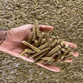 Pellets de Madera Premium Biomasa Combustible ENplus A1 Calefacción Industrial Energía Renovable Pellets Exportación a Granel