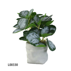 Artificial Pilea Peperomioides Planta Falso Dinheiro Chinês Planta Em Tecido Branco Envolvido Pote Para Interior Tabletop Home Decor