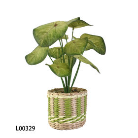 Artificial Caladium Planta Faux Variegated Folhas Verdes Em Tecido Listrado Panela De Palha Para Interior Tabletop Home Office Decor