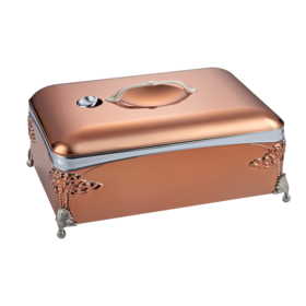 Le luxe a isolé le récipient de nourriture avec 18/8 l'intérieur d'acier inoxydable, maintiennent la nourriture chaude pendant plus de 6 heures, couleur rose d'or