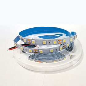 Low Voltage Decorative LED Light Strips