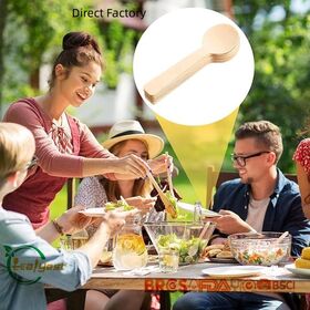 Biodegradable Birch wooden Ice Cream Spoon Eco Friendly for Restaurants and Parties FSC FDA LFGB China Manufacturer