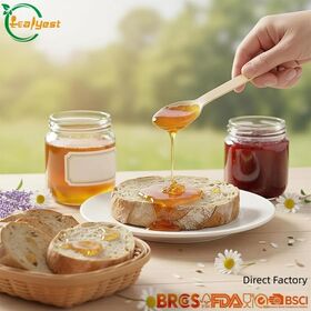 Biodegradable Birch wooden Ice Cream Spoon Eco Friendly for Restaurants and Parties FSC FDA LFGB China Direct Factory Price