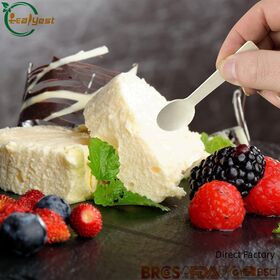 Biodegradable Birch wooden Ice Cream Spoon Eco Friendly for Restaurants and Parties FSC FDA LFGB Direct Factory Price