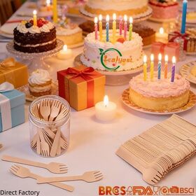 Biodegradable Birch wooden Ice Cream Spoon Eco Friendly for Restaurants and Parties FSC FDA LFGB OEM ODM