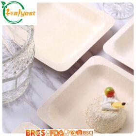 Leafyest Disposable Palm Leaf Square Plate, 100% Biodegradable Compostable Plate for Food, Catering