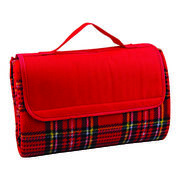 mega picnic rug