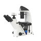 Buy Wholesale China Inverted Microscope With Biological Usb Digital ...