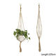4pcs Handmade Plant Holder Cotton Wall Hanging Planter Baskets Indoor Outdoor Ta